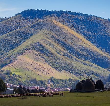 Picturesque Village In Transylvania Решинари Номер фото