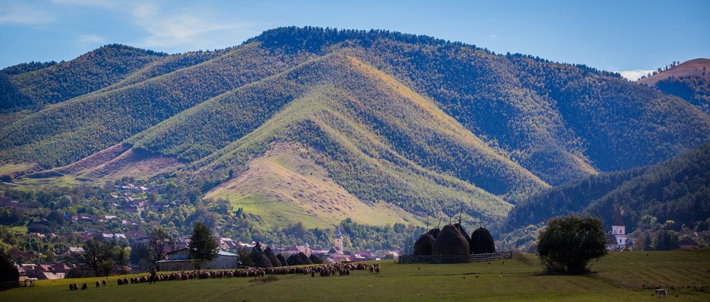 Picturesque Village In Transylvania Решинари Номер фото